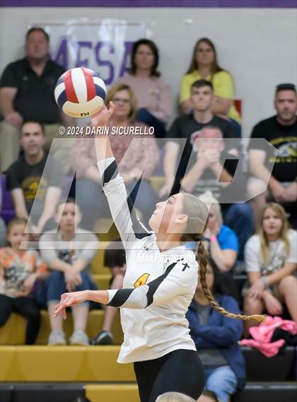 Thumbnail 3 in Arizona Lutheran Academy vs Phoenix Country Day (AIA 2A Division Semifinal)  photogallery.