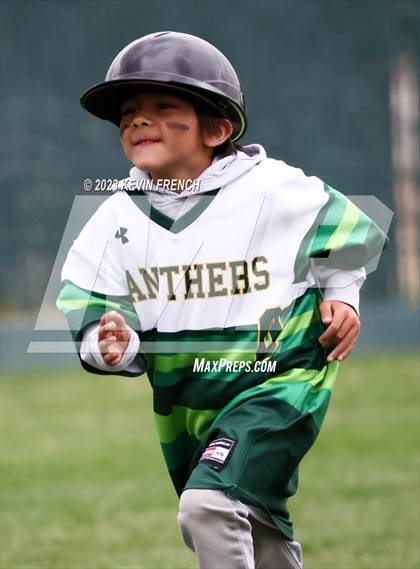 Thumbnail 2 in Vista Ridge vs. Peoria (Greenway Festival) photogallery.