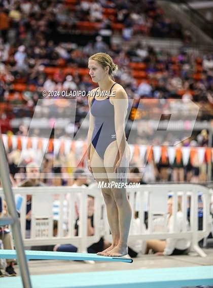 Thumbnail 1 in UIL 5A Swimming & Diving State Finals photogallery.