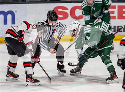 Thumbnail 1 in Summit vs. Glenwood Springs (CHSAA 4A Semi-Final) photogallery.