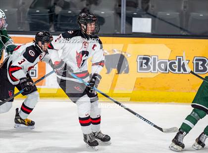 Thumbnail 3 in Summit vs. Glenwood Springs (CHSAA 4A Semi-Final) photogallery.
