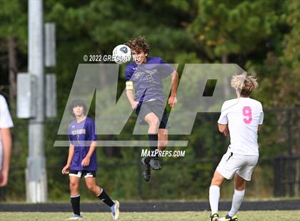 Thumbnail 3 in Panther Creek @ Holly Springs photogallery.