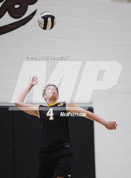 Thumbnail 1 in JV: Gilbert @ Hamilton photogallery.