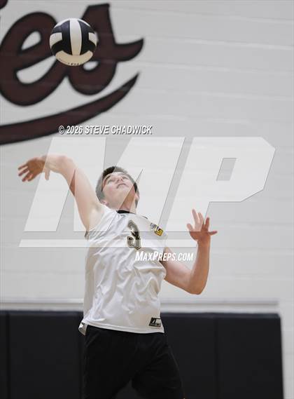 Thumbnail 1 in JV: Gilbert @ Hamilton photogallery.