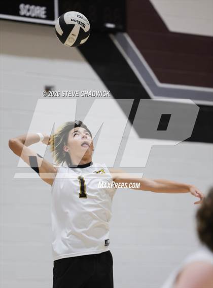 Thumbnail 2 in JV: Gilbert @ Hamilton photogallery.