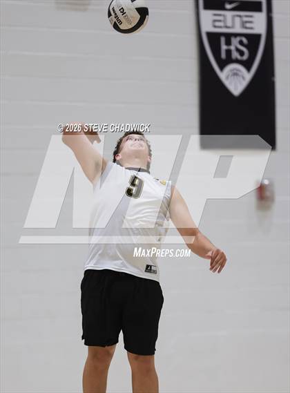 Thumbnail 1 in JV: Gilbert @ Hamilton photogallery.