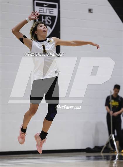 Thumbnail 3 in JV: Gilbert @ Hamilton photogallery.