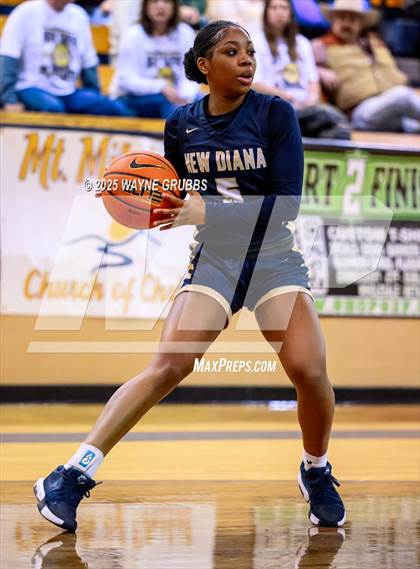 Thumbnail 3 in New Diana @ Hooks (UIL 3A D2 Basketball Bi-District) photogallery.