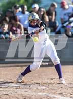 Photo from the gallery "Windsor @ Holy Family"