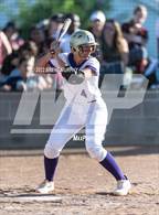 Photo from the gallery "Windsor @ Holy Family"