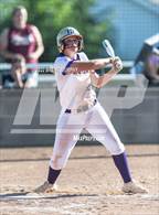 Photo from the gallery "Windsor @ Holy Family"