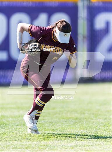 null - Photo 31