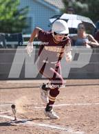 Photo from the gallery "Windsor @ Holy Family"