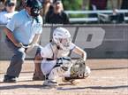 Photo from the gallery "Windsor @ Holy Family"