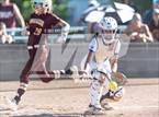 Photo from the gallery "Windsor @ Holy Family"