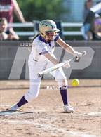 Photo from the gallery "Windsor @ Holy Family"