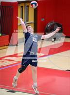 Photo from the gallery "Penfield @ Brighton"