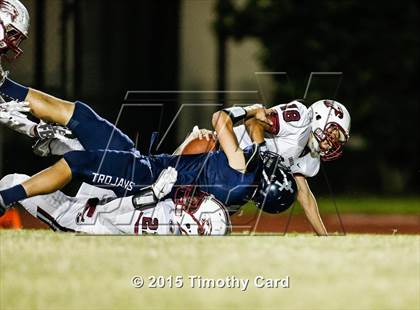 Thumbnail 3 in Stoneman Douglas @ Taravella photogallery.