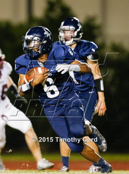 Thumbnail 1 in Stoneman Douglas @ Taravella photogallery.