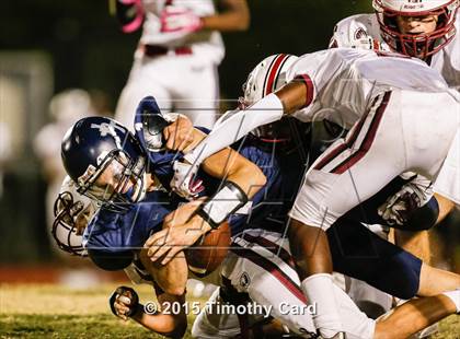 Thumbnail 1 in Stoneman Douglas @ Taravella photogallery.