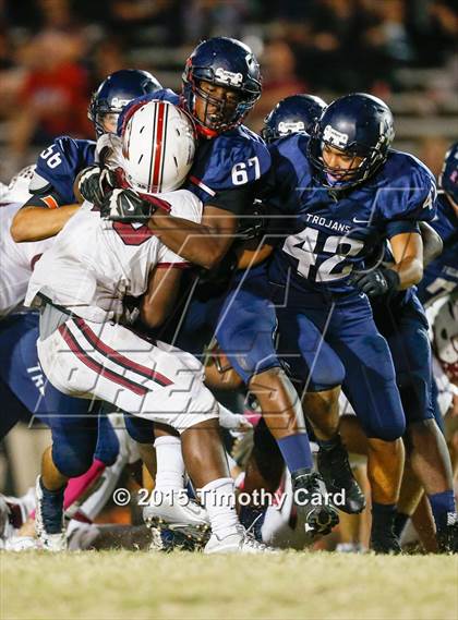 Thumbnail 2 in Stoneman Douglas @ Taravella photogallery.