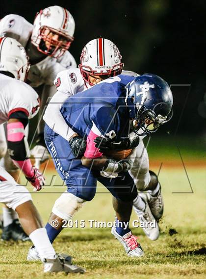 Thumbnail 3 in Stoneman Douglas @ Taravella photogallery.