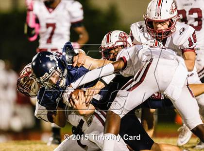 Thumbnail 3 in Stoneman Douglas @ Taravella photogallery.