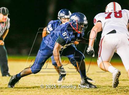 Thumbnail 1 in Stoneman Douglas @ Taravella photogallery.