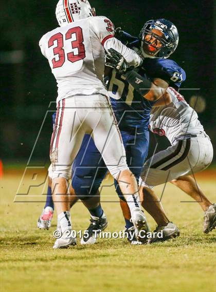 Thumbnail 1 in Stoneman Douglas @ Taravella photogallery.