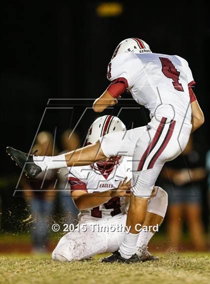 Thumbnail 1 in Stoneman Douglas @ Taravella photogallery.