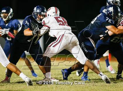 Thumbnail 1 in Stoneman Douglas @ Taravella photogallery.