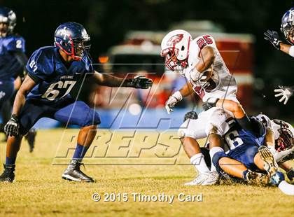 Thumbnail 2 in Stoneman Douglas @ Taravella photogallery.