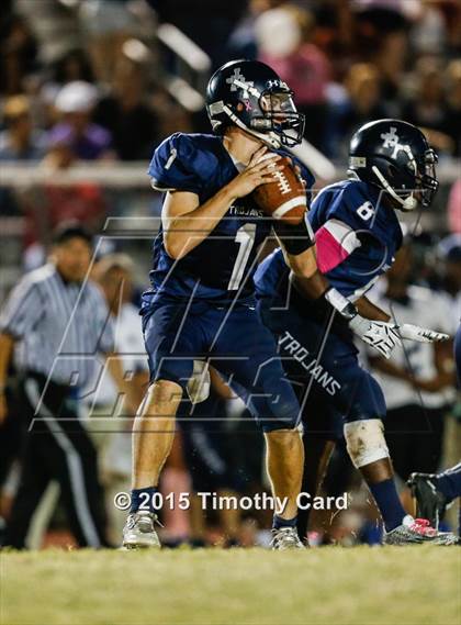 Thumbnail 1 in Stoneman Douglas @ Taravella photogallery.