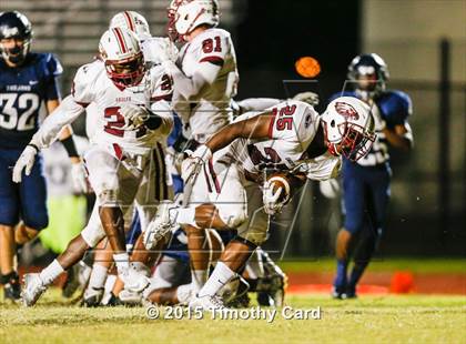 Thumbnail 2 in Stoneman Douglas @ Taravella photogallery.