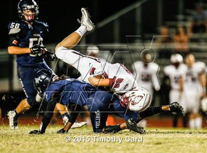 Thumbnail 2 in Stoneman Douglas @ Taravella photogallery.