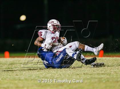Thumbnail 1 in Stoneman Douglas @ Taravella photogallery.