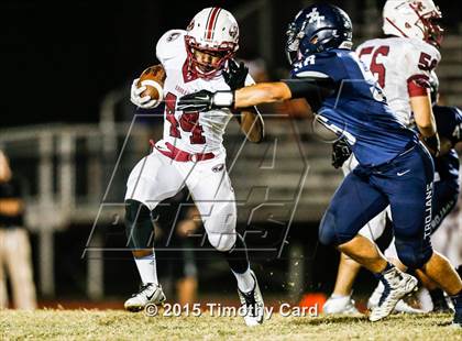 Thumbnail 1 in Stoneman Douglas @ Taravella photogallery.