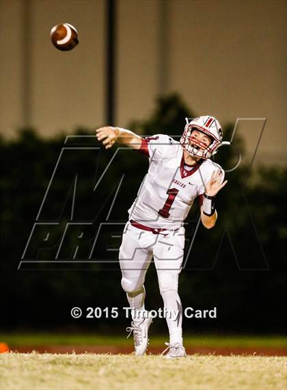 Thumbnail 2 in Stoneman Douglas @ Taravella photogallery.