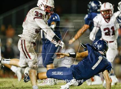 Thumbnail 1 in Stoneman Douglas @ Taravella photogallery.