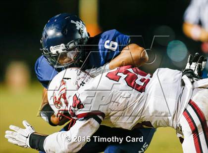 Thumbnail 1 in Stoneman Douglas @ Taravella photogallery.