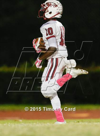 Thumbnail 1 in Stoneman Douglas @ Taravella photogallery.