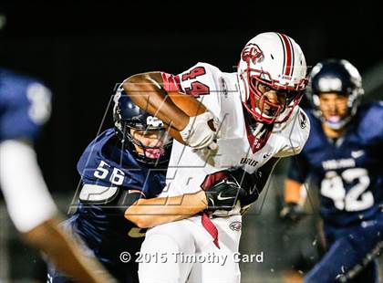 Thumbnail 3 in Stoneman Douglas @ Taravella photogallery.