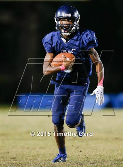 Thumbnail 2 in Stoneman Douglas @ Taravella photogallery.