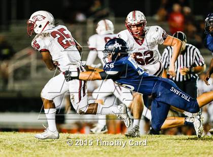 Thumbnail 3 in Stoneman Douglas @ Taravella photogallery.