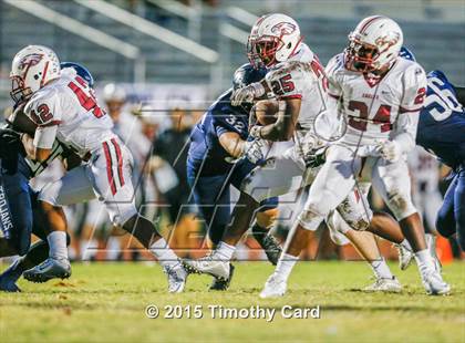 Thumbnail 3 in Stoneman Douglas @ Taravella photogallery.