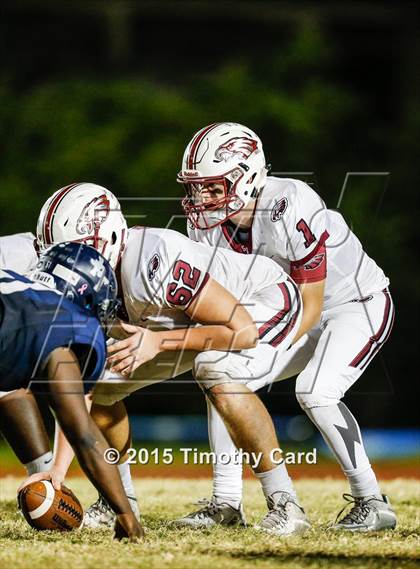 Thumbnail 2 in Stoneman Douglas @ Taravella photogallery.