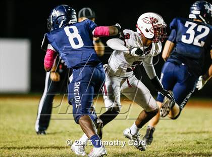 Thumbnail 2 in Stoneman Douglas @ Taravella photogallery.
