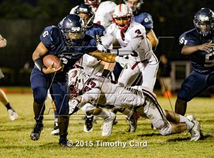 Thumbnail 1 in Stoneman Douglas @ Taravella photogallery.