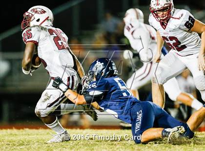 Thumbnail 1 in Stoneman Douglas @ Taravella photogallery.
