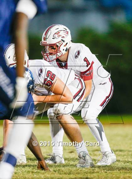 Thumbnail 3 in Stoneman Douglas @ Taravella photogallery.